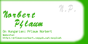 norbert pflaum business card